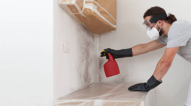 Professional Mold Remediation technician working in Long Beach, NY